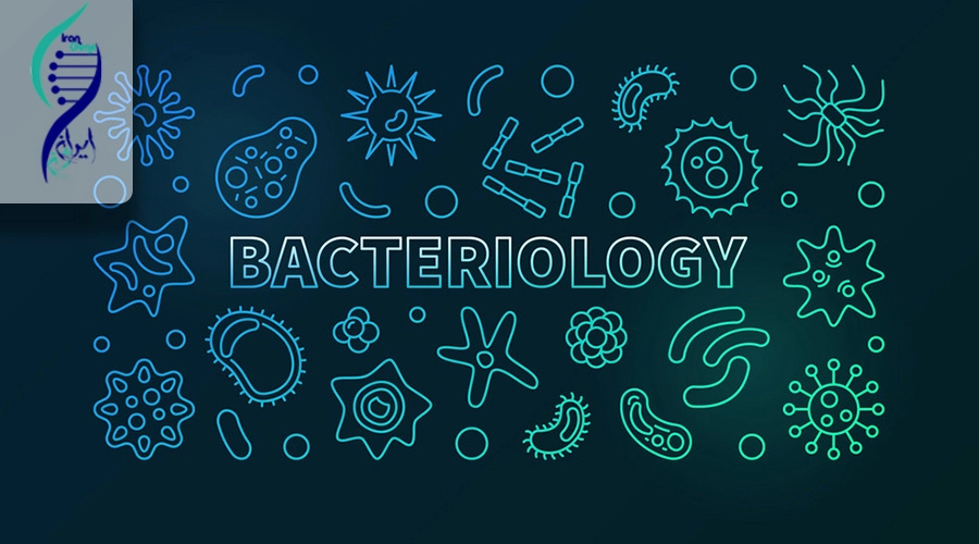 آزمون 12 مرحله ای باکتری شناسی (1402 - 1403)
